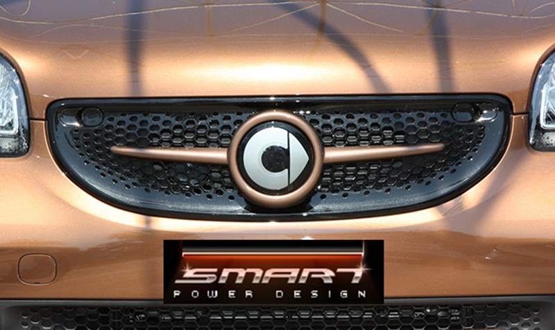 Frontgrillaufsatz Typ SLS mit Mercedes Emblem Smart 453